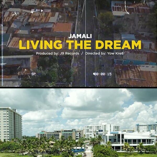 Cover art for Living the dream